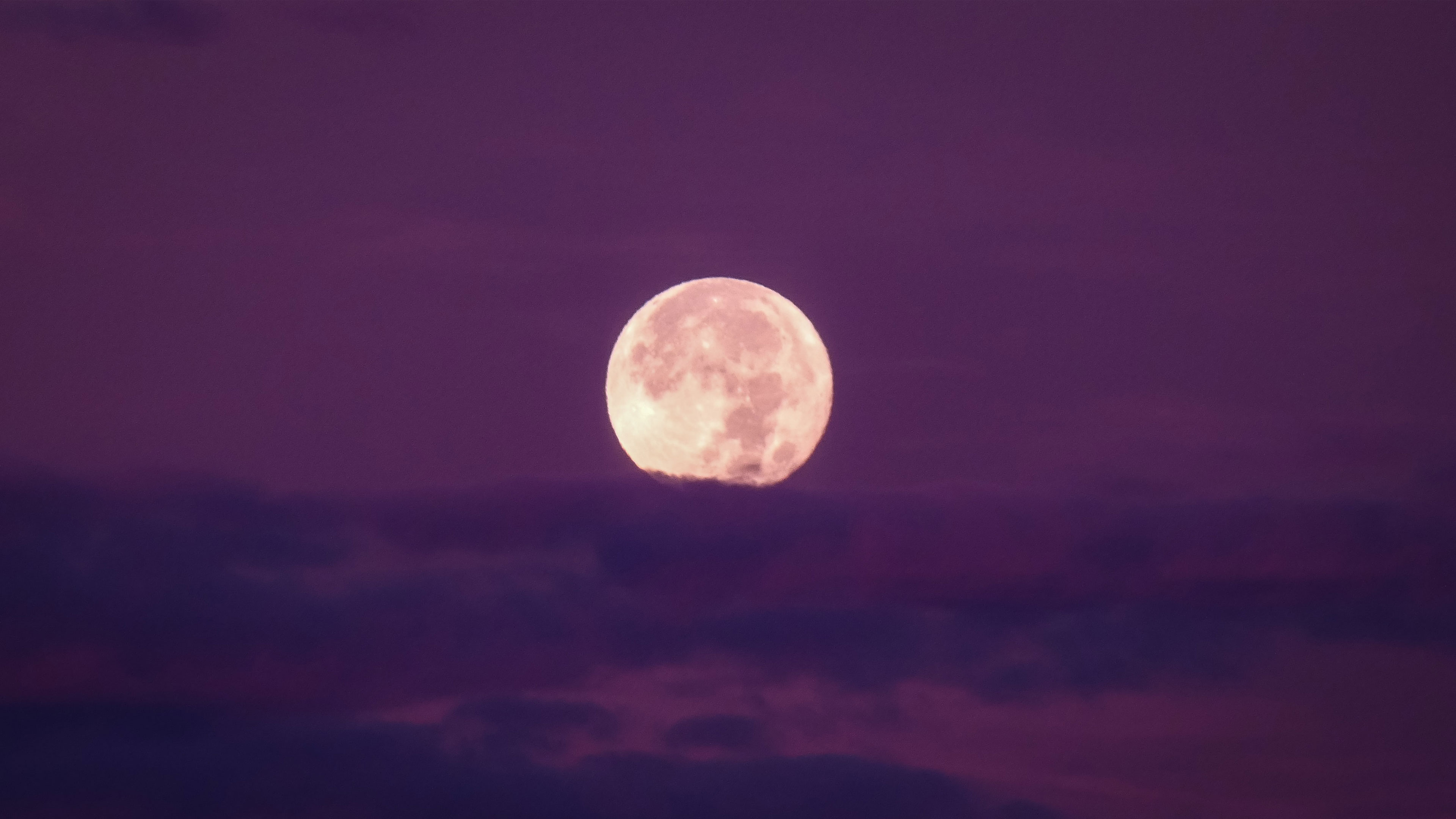 Surrendered to the Whole