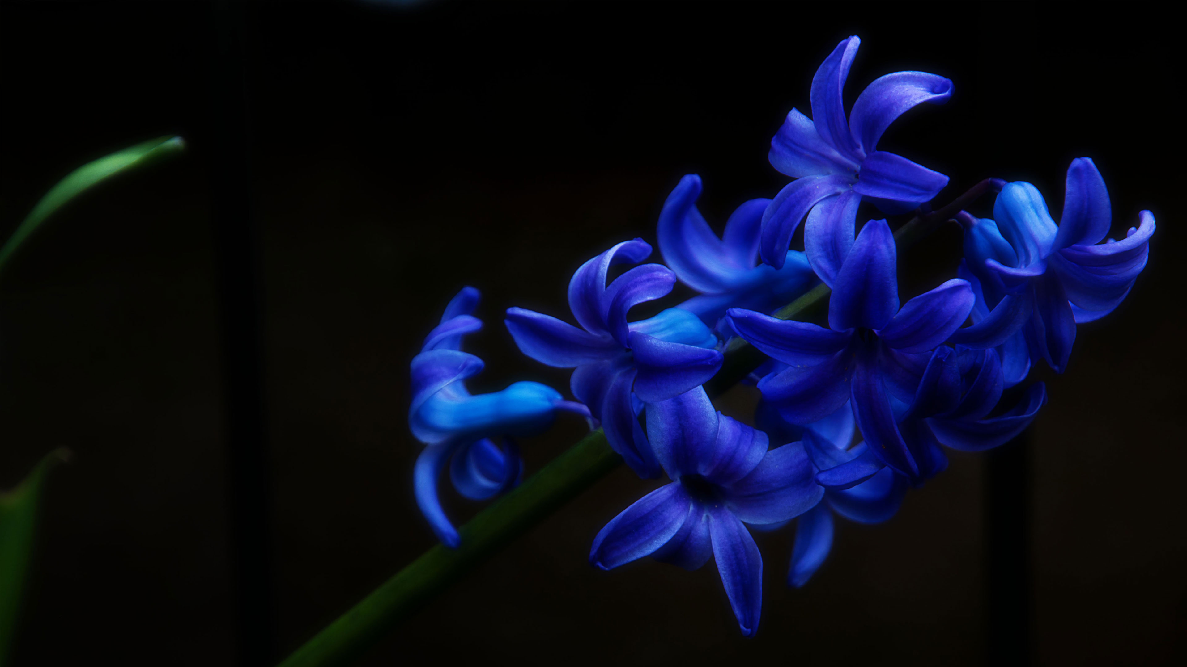 Tenderness is All - All is Tenderness