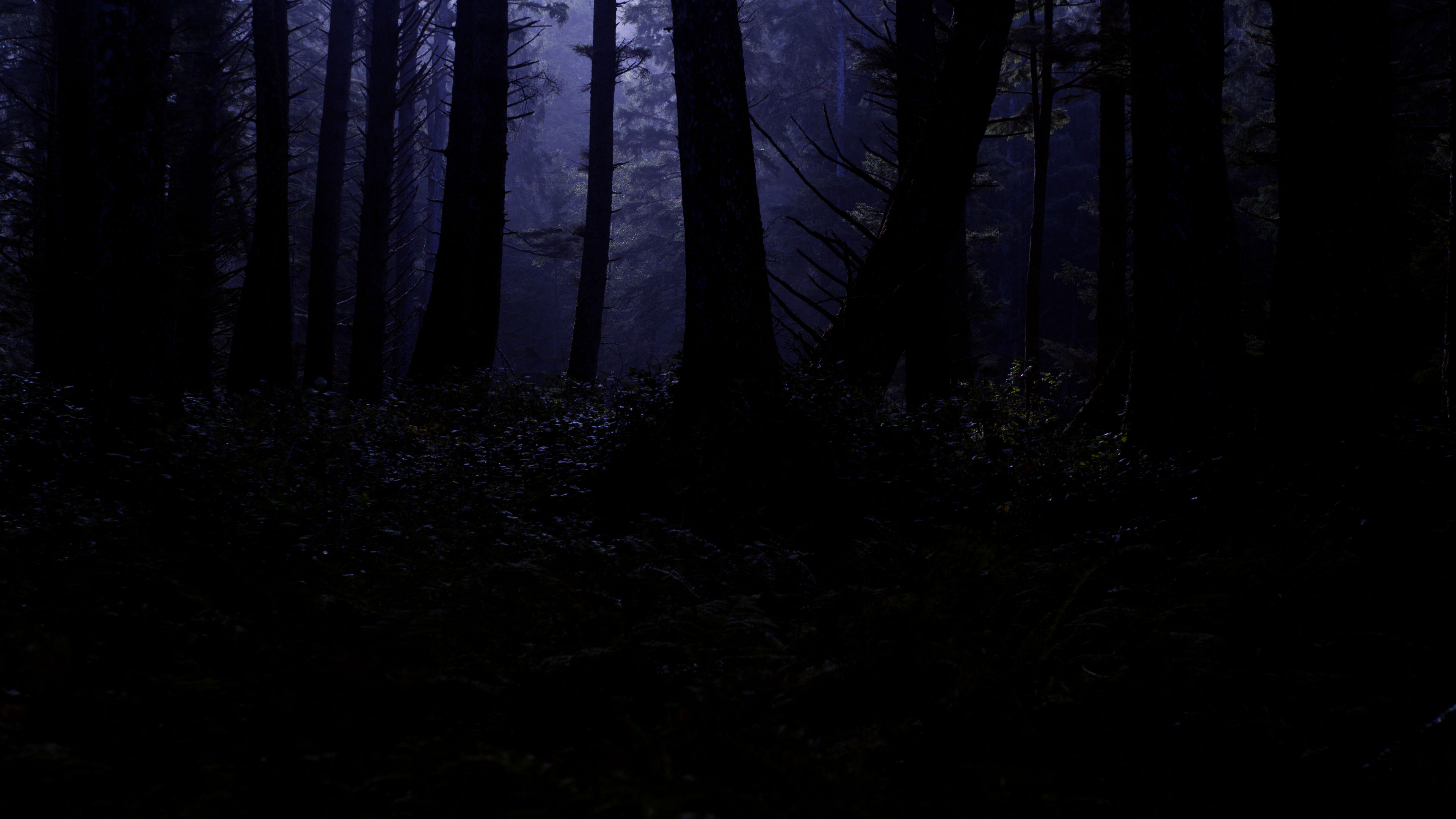 The Blackness That is All