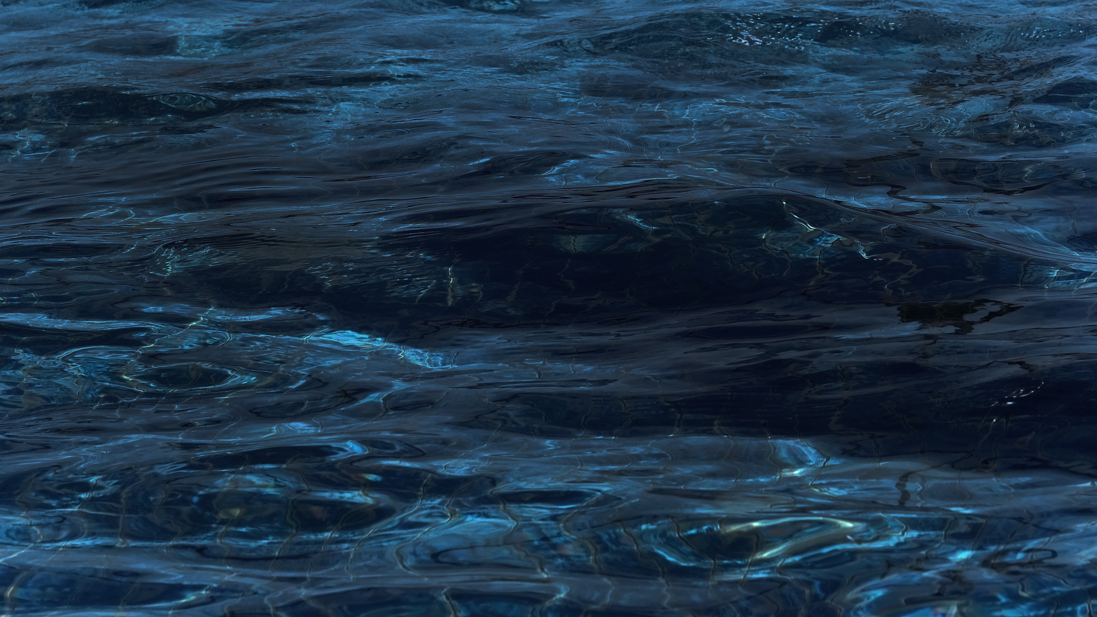 The Dhamma Ocean