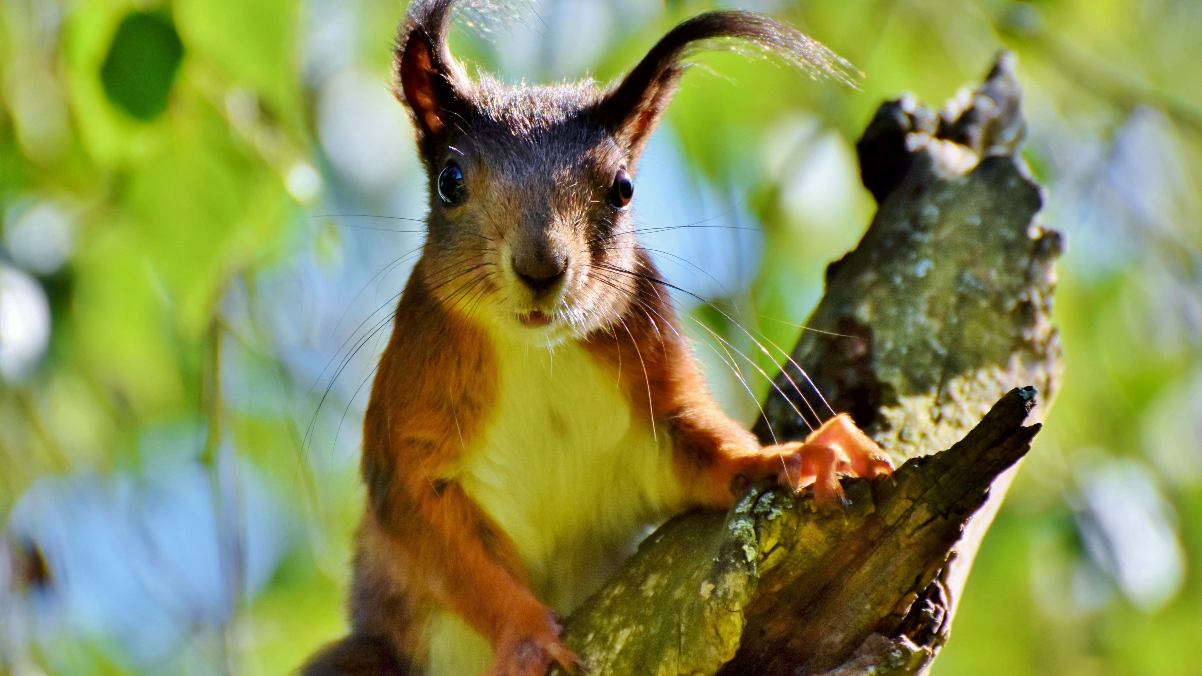 The Divine Cuteness of Just Being Who You Are in Reality