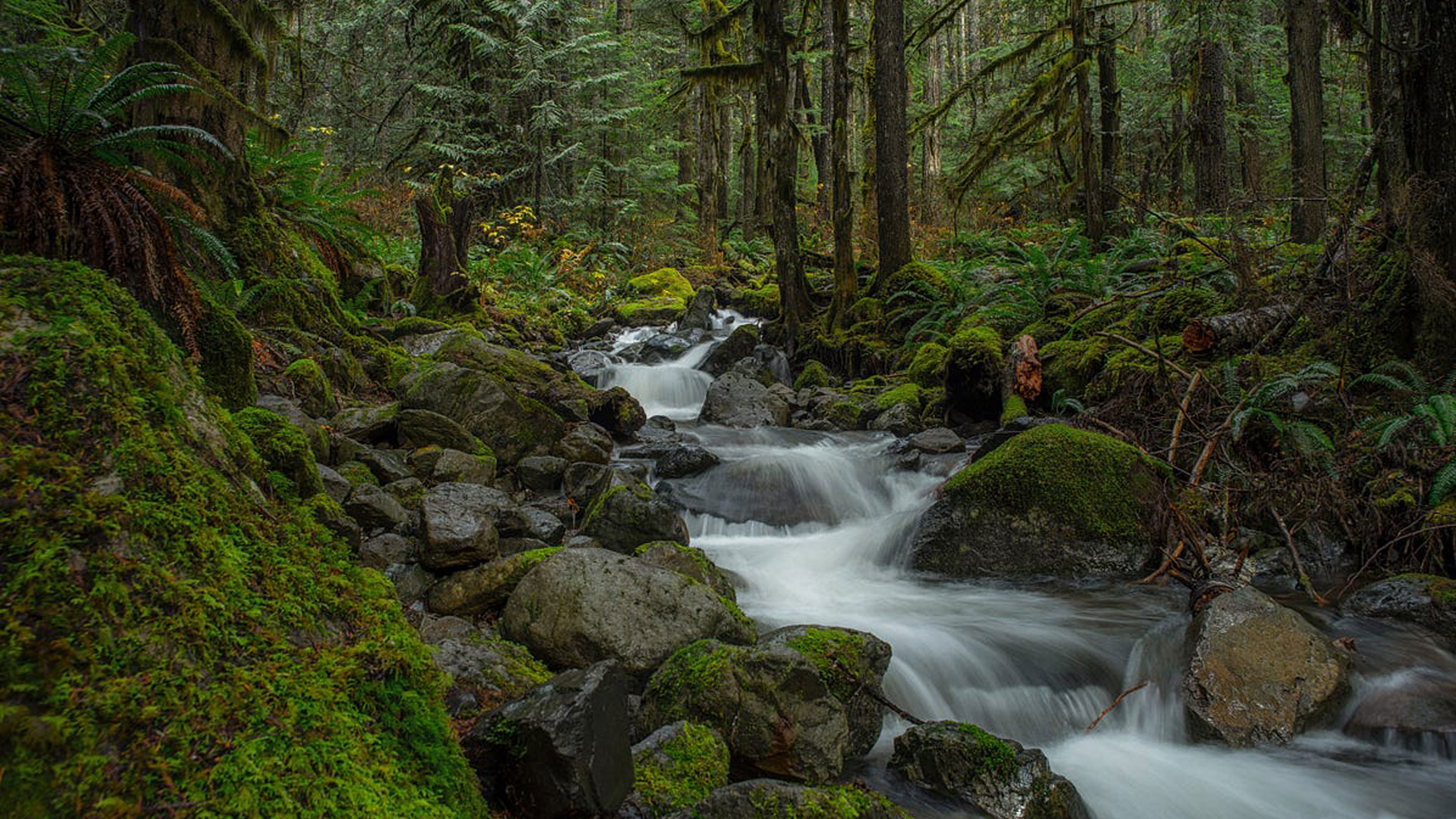 The Emptiness of Wholeness