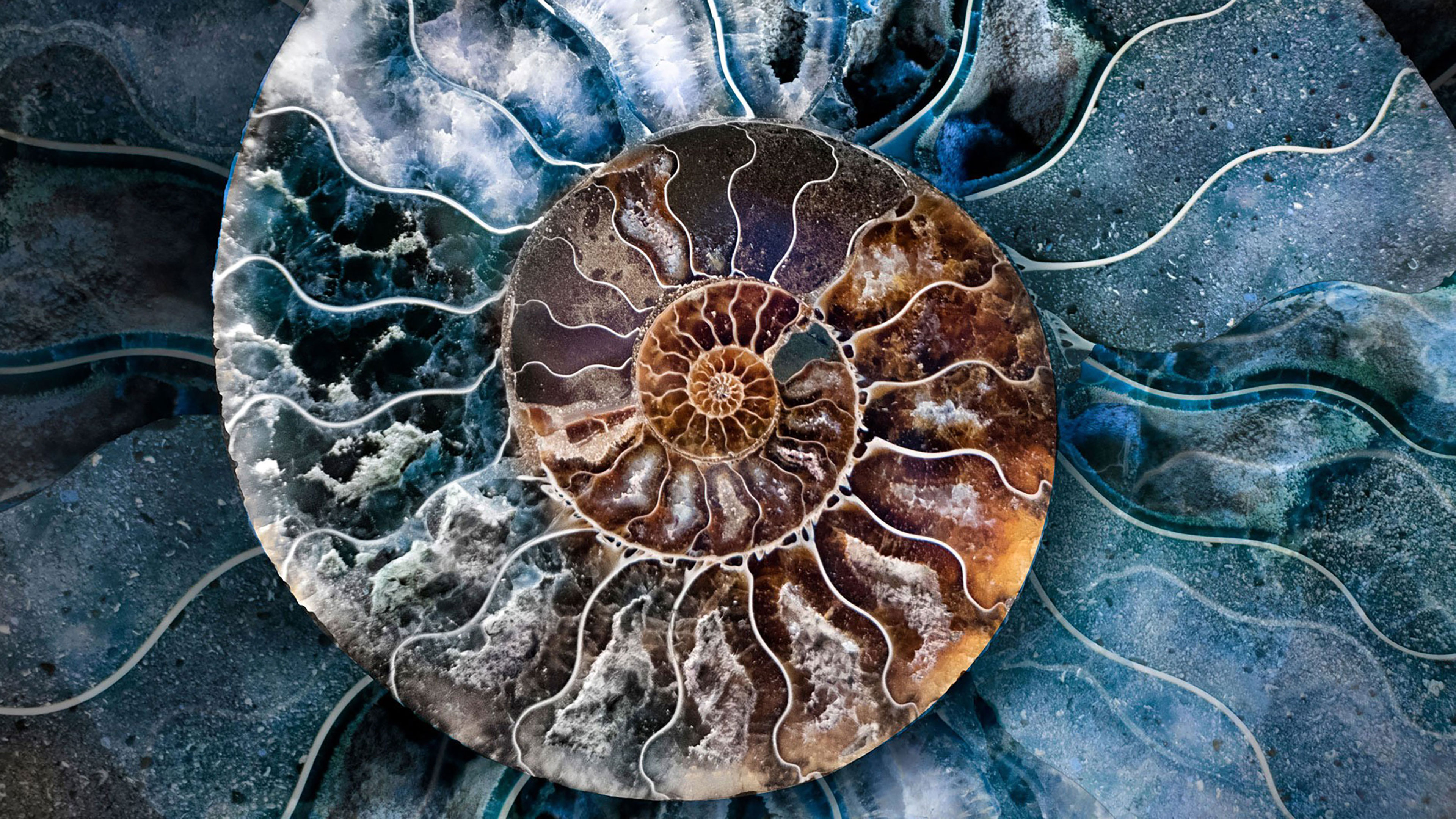 Consciously Rooted in Mother