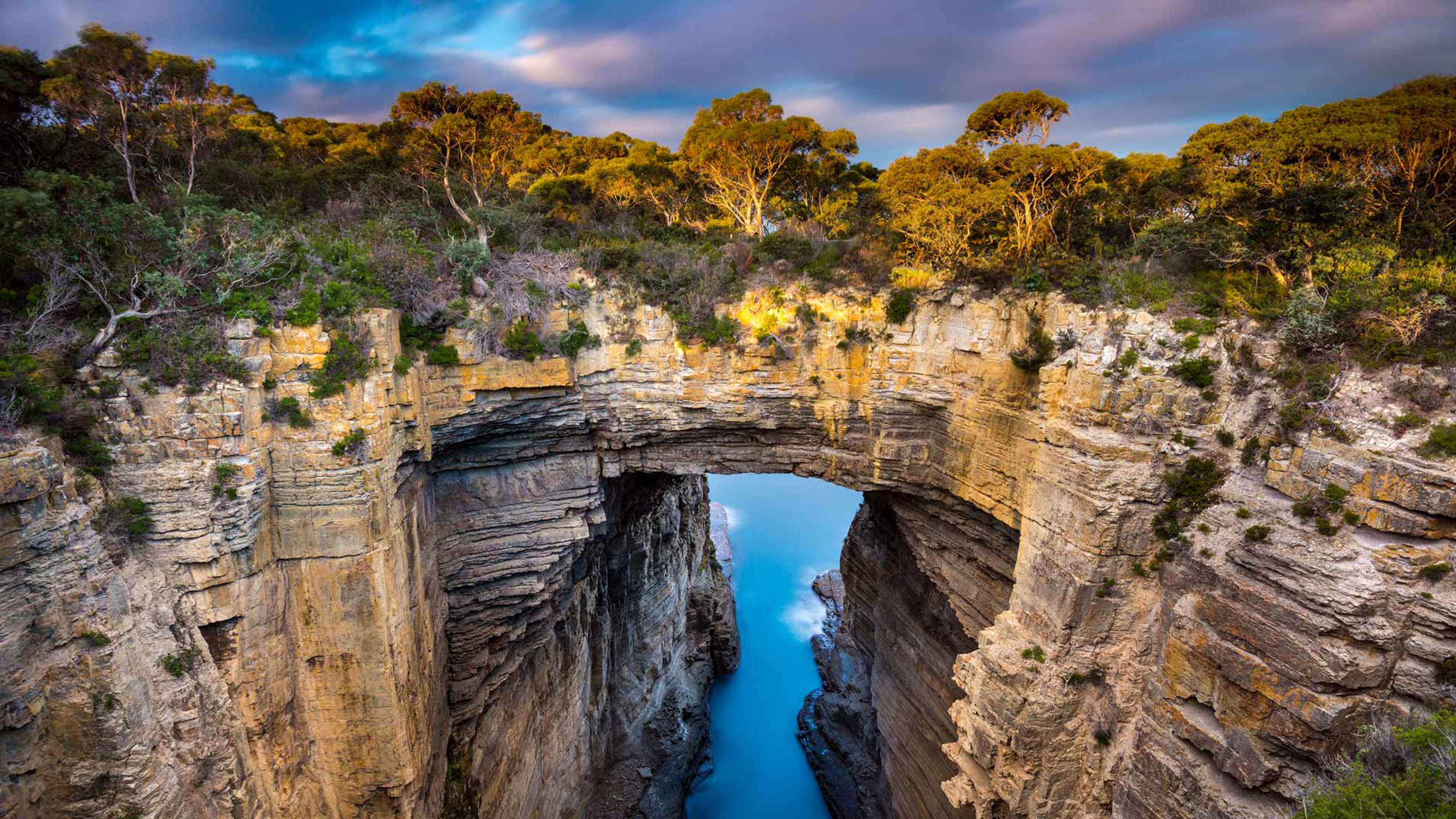 The Open Gate