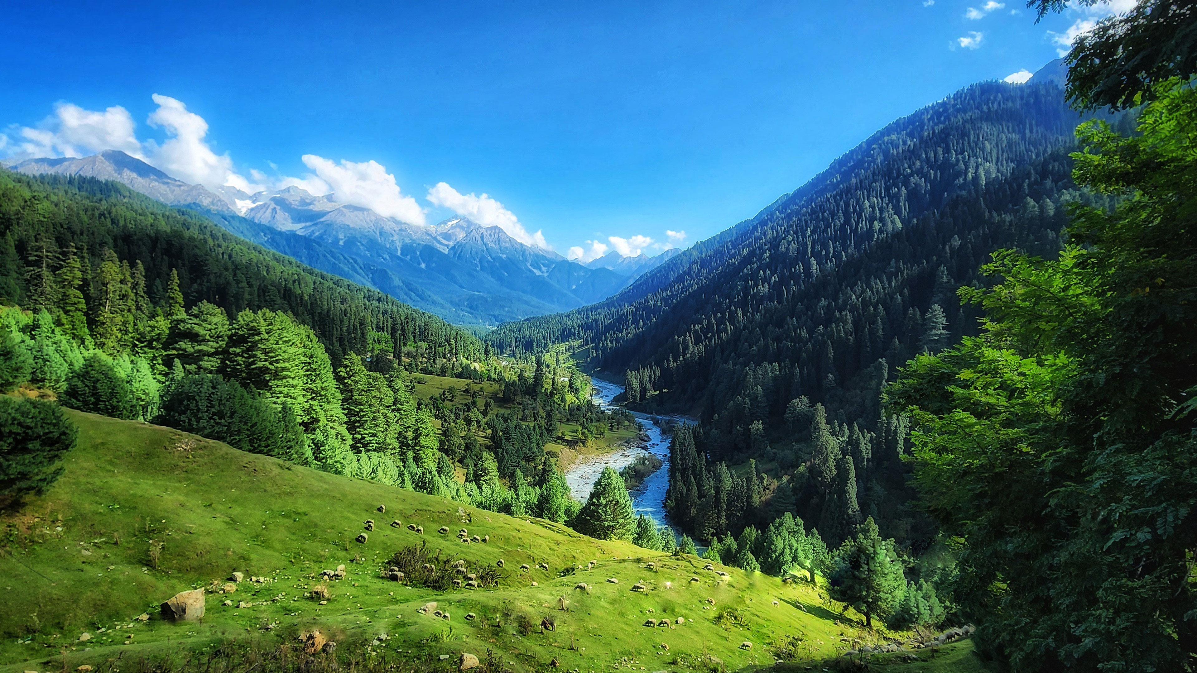 The Original Land