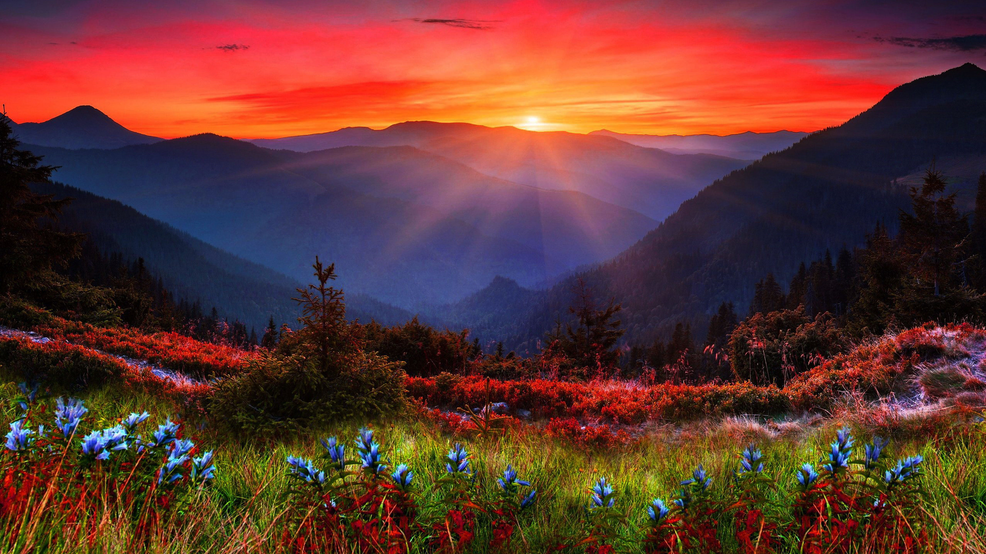 The Sacredness of Beloved Wholeness