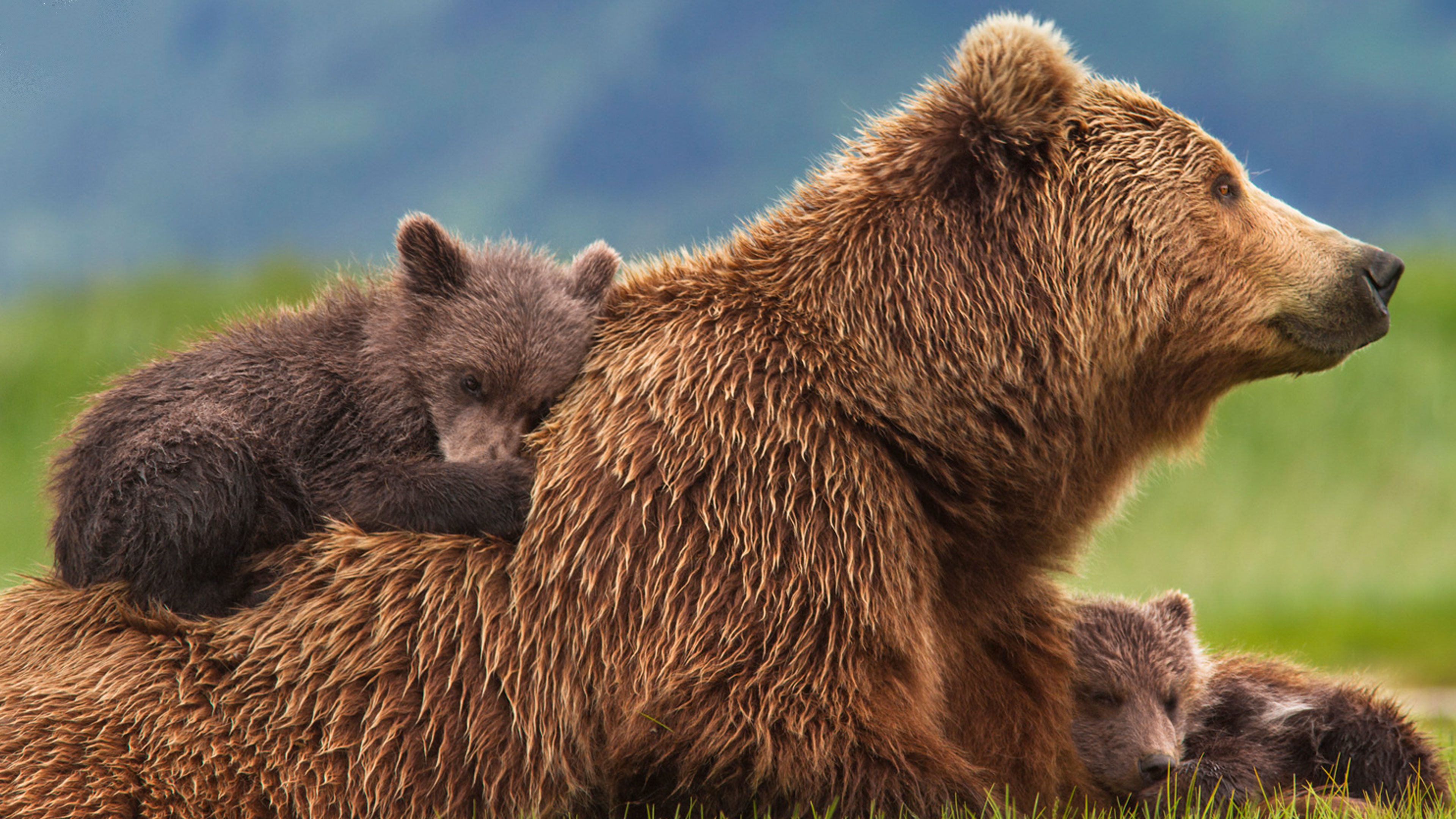 The Totality of AtHomeness