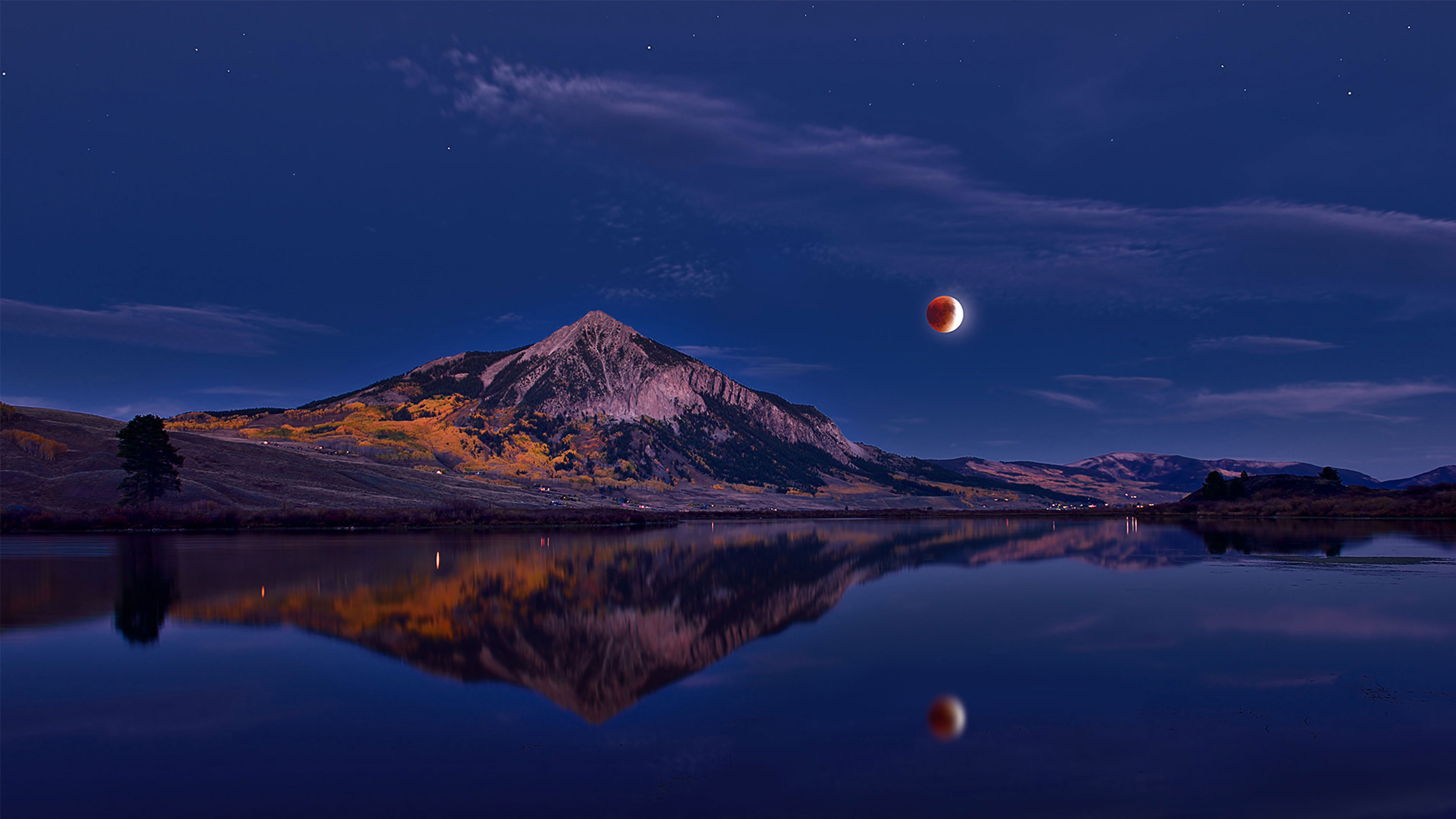 The Wildness of Loving Stillness