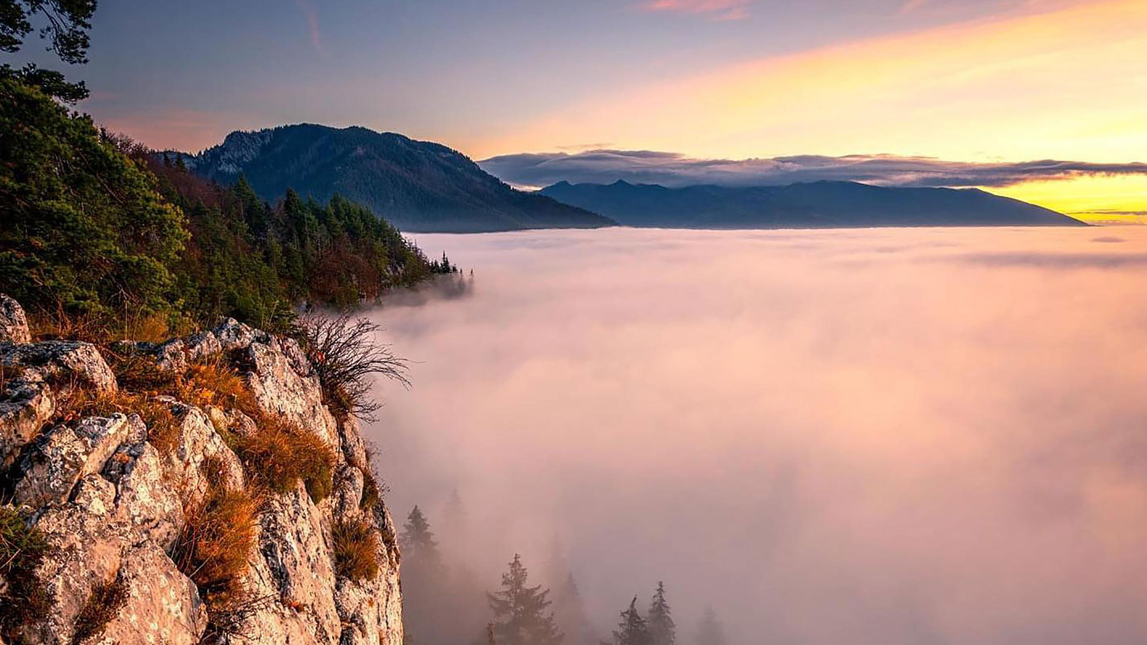 Total AtHomeness Sharing Itself Naturally