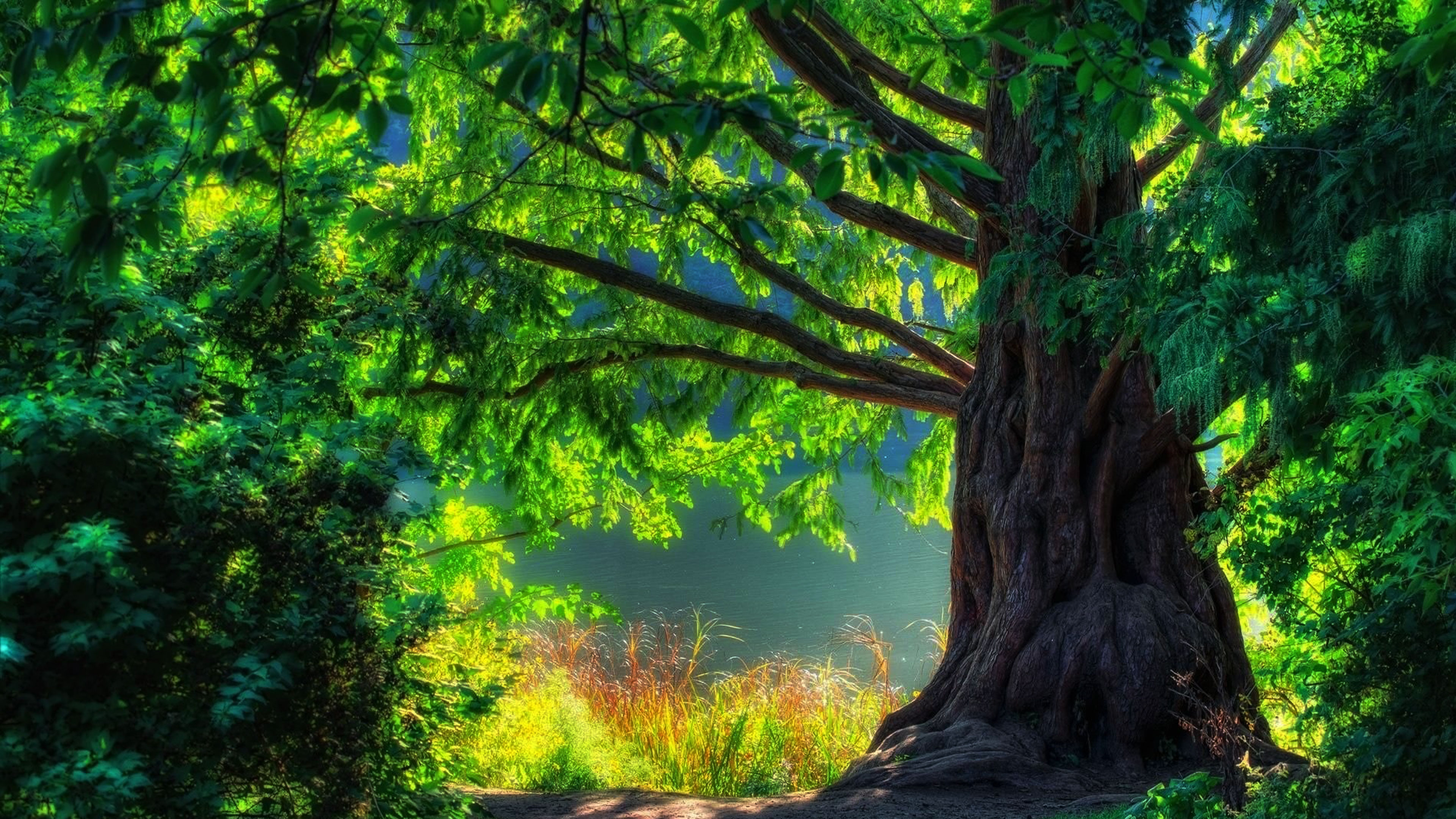 True Rootedness in Reality is Hard to Find, But Not Impossible