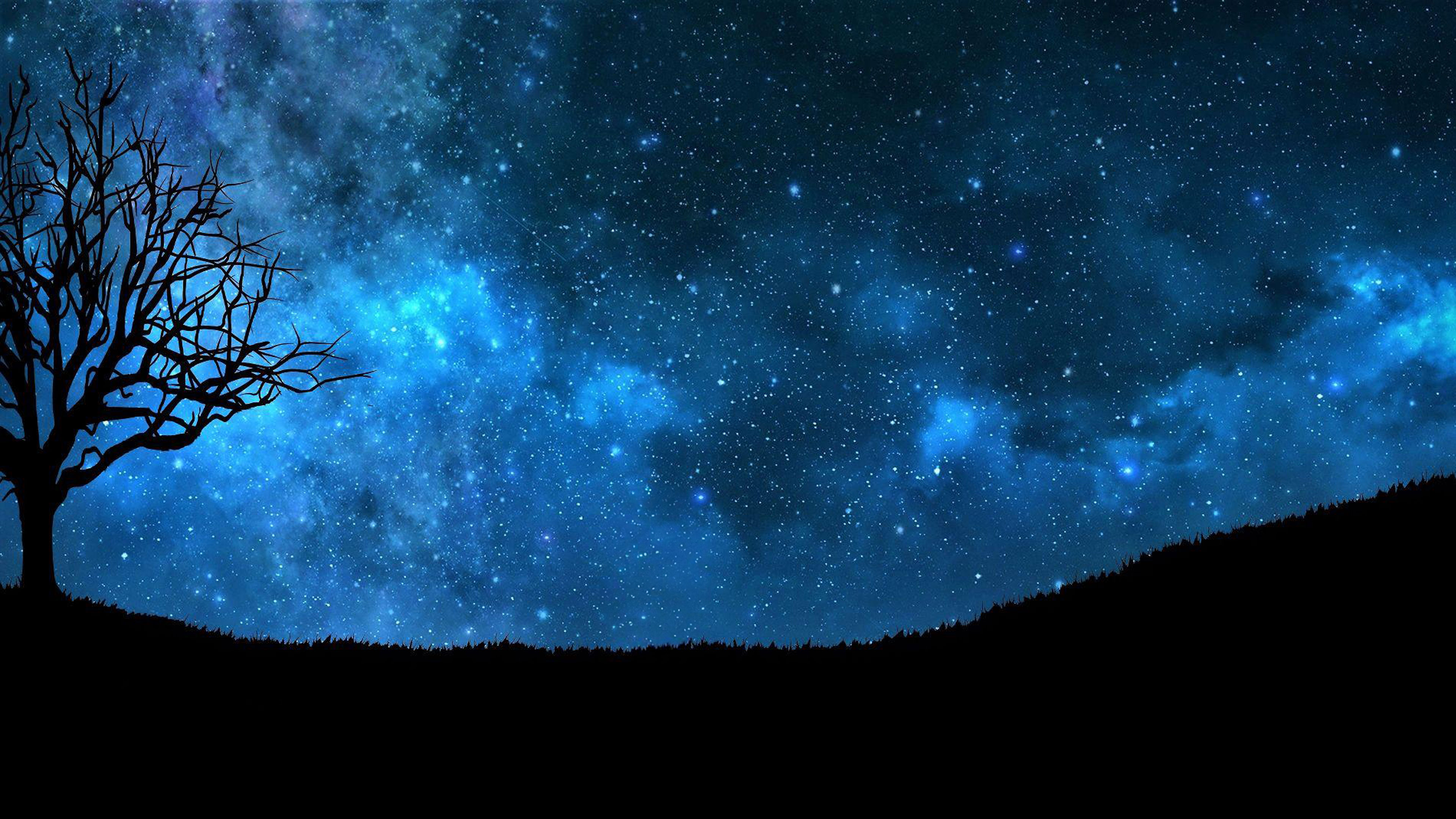 Under the Open Night Sky
