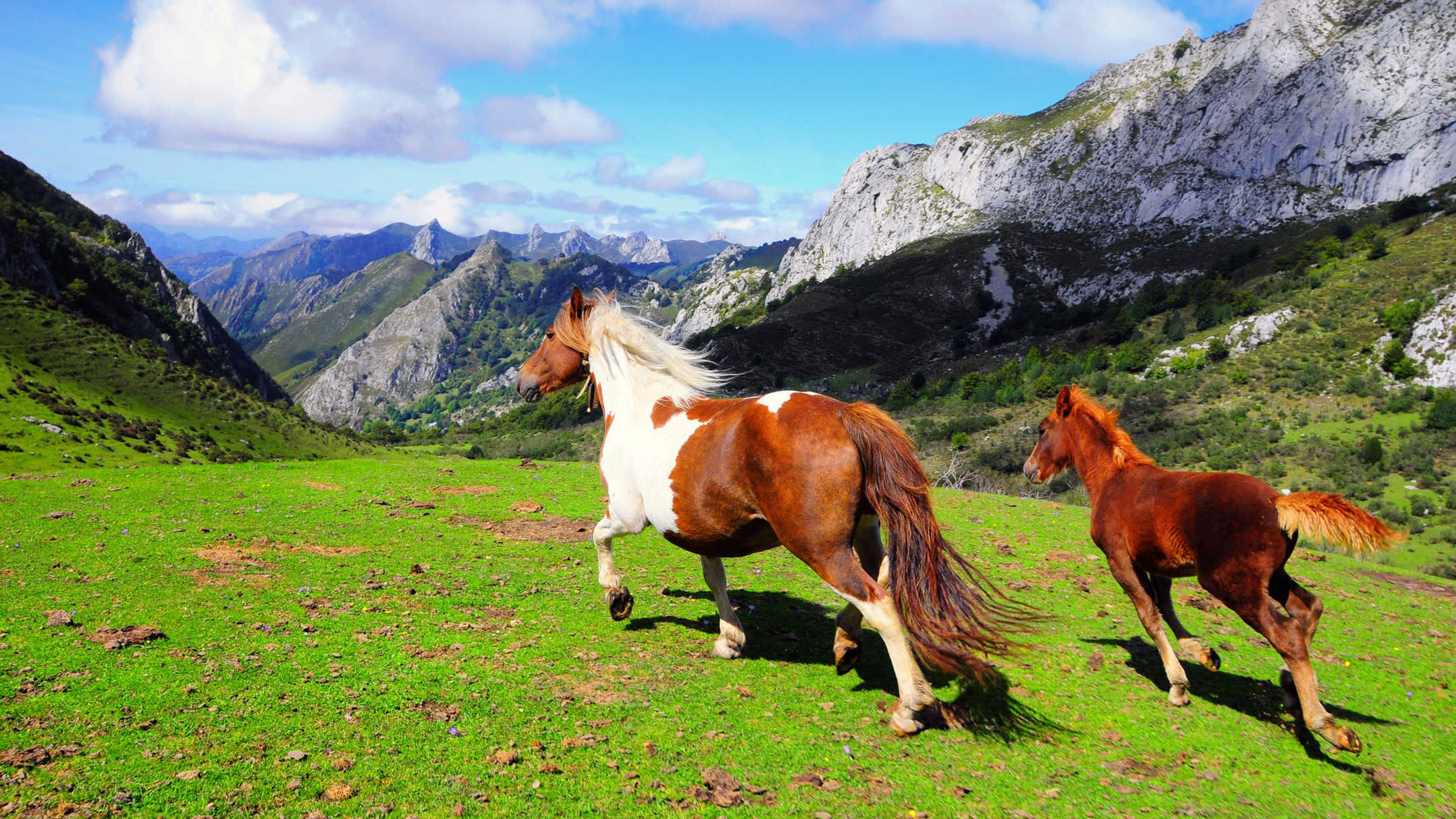 Unfettered Wildness Spontaneously Living Itself