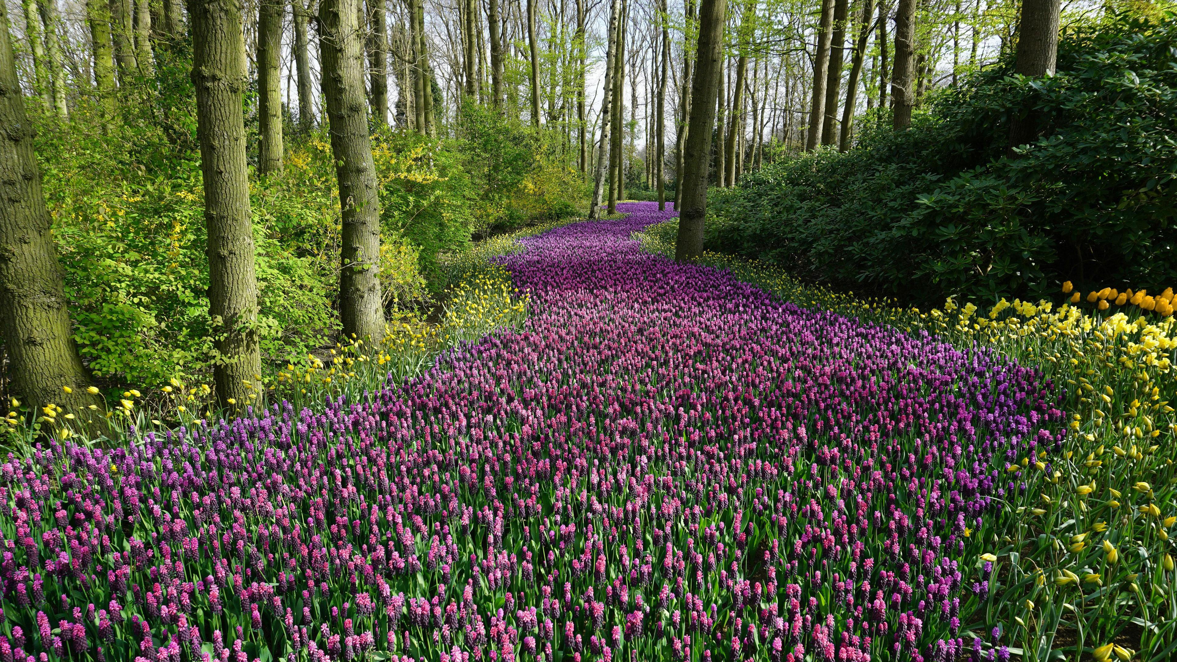 Walking the Path of Unconditional Love