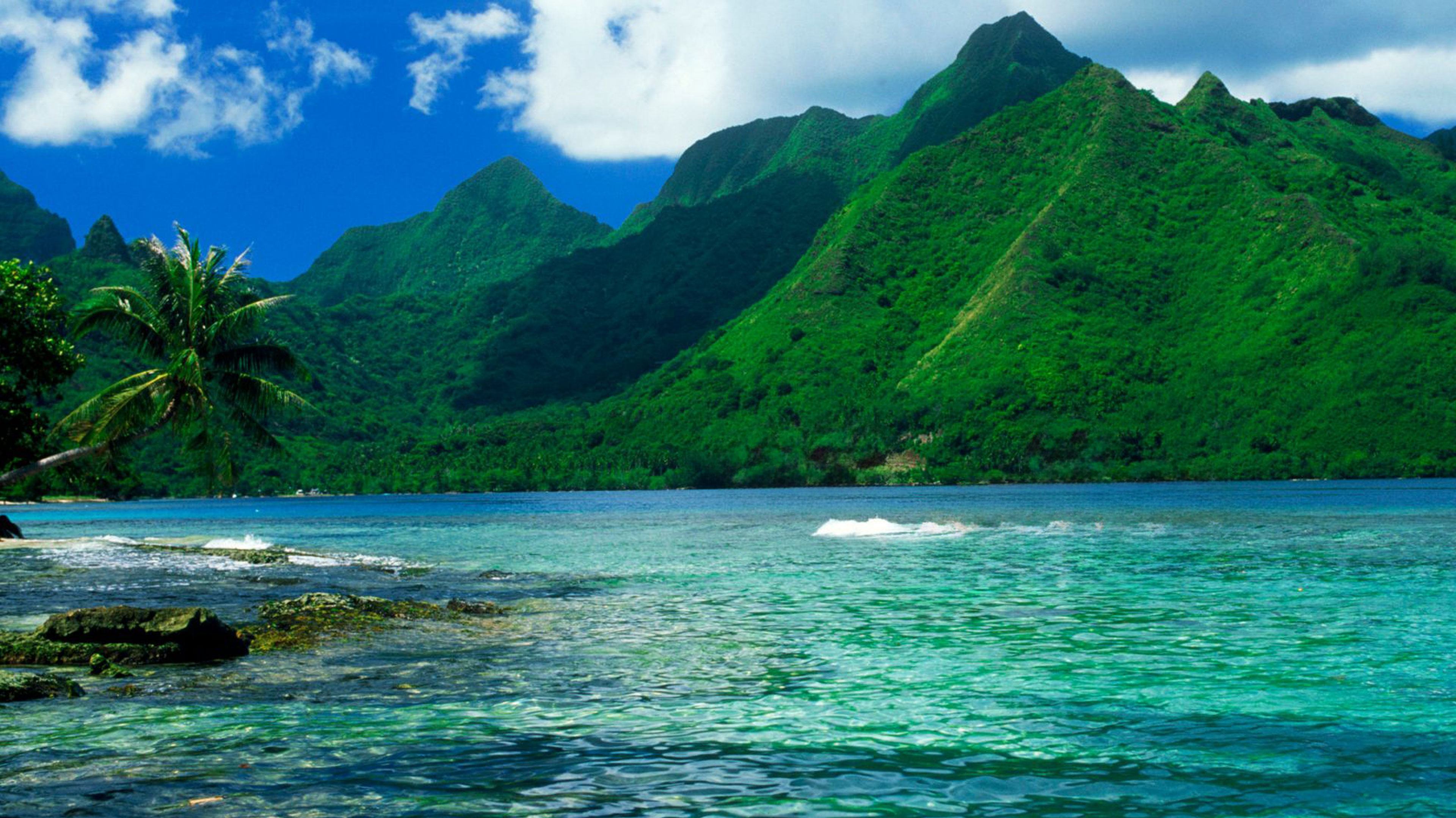 When Everything is in Balance There Is Harmony of Wholeness